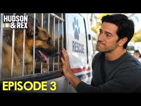 Hudson and Rex Season 9 Episode 3 Trailer, First Look & What To Expect