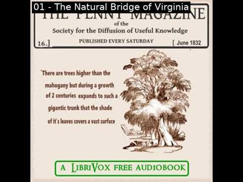 The penny magazine of the Society for the Diffusion of Useful Knowledge, issue 13 by Charles Knight