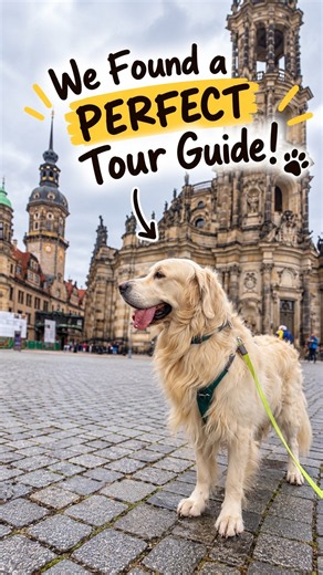We Found the Perfect Tour Guide! | Dresden, Germany