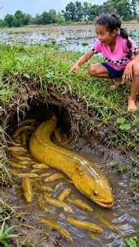 New Techniques Make Eel Trap in hole #Camping #fishing #Skills #shortsvideo