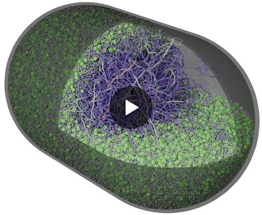 #postdoc #wholecellmodeling #synbio #biophysics #moleculardynamics #hpc #aiforscience #academicjobs | Roseanna Zia