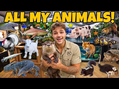 All of My ANIMALS on the FARM in ONE Video!!
