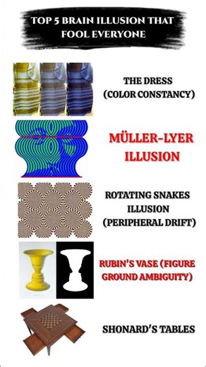 Brain Illusion That Fools Everyone || #shorts #illustration