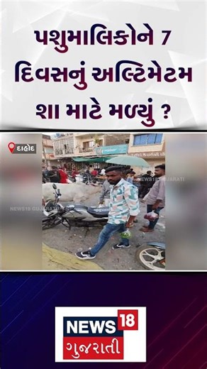 Dahod Cattle Breeder | પશુ માલિકોને 7 દિવસનું અલ્ટિમેટમ શ માટે મળ્યું ? |Gujarati News| N18S #shorts
