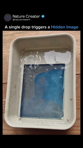 The Science of Cyanotype Photography Revealed! 🧪🎨
