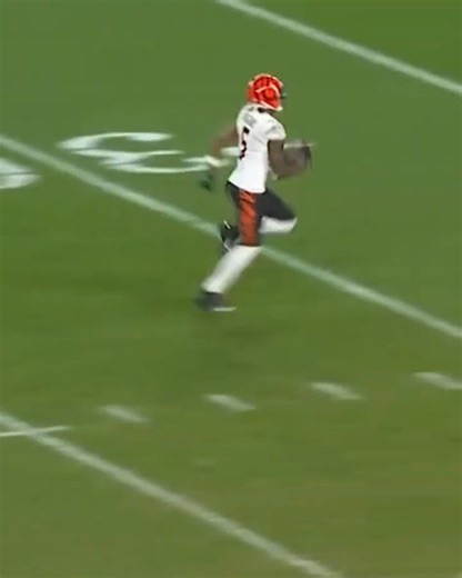 NFL Top Plays (pt 77): Tee Higgins TD vs Steelers #bengals #nfl #highlights #topplays