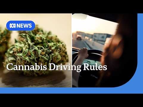 Cannabis driving limit change to give 'freedom' to medicinal users in NSW | ABC NEWS