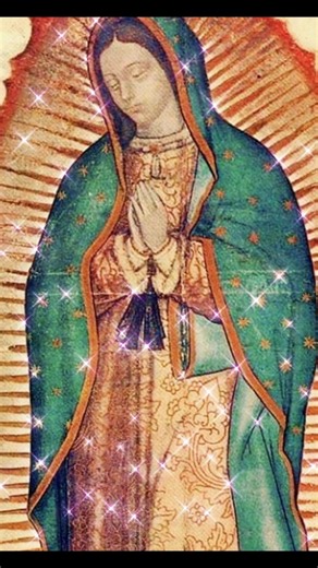 Madre mía, cuida a mis hijos 🌹🙏 Santo Rosario de Hoy / santo rosario hoy