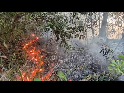 Large wildfires near Clay-Putnam County line burning miles apart, voluntary evacuations underway