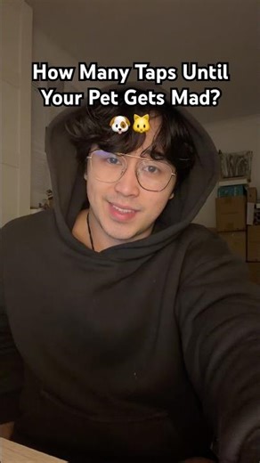 How Many Taps Until Your Pet Gets Annoyed At You? 🐶🐱