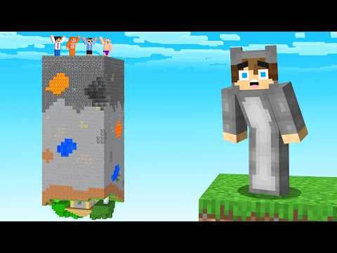 Minecraft One Chunk, But It's Upside Down...