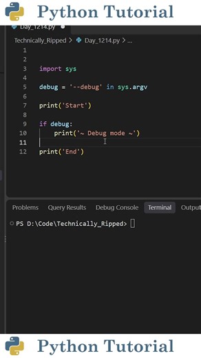 Add a Debug Parameter to Python | Python Tutorial