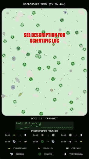 Microscopic Kinetic Analysis: Swarm Dynamics and Velocity