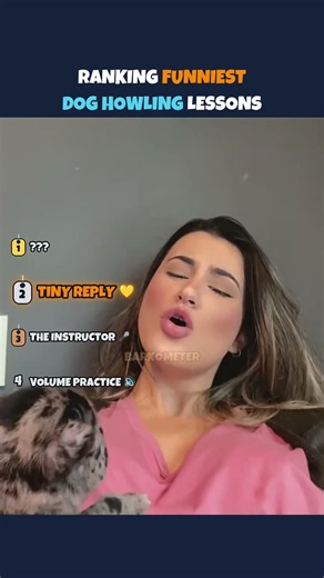 Dogs vs Howling Lessons 🎤