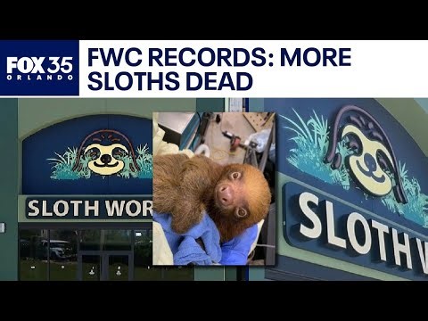 Sloth World animal death count increases, FWC reports show