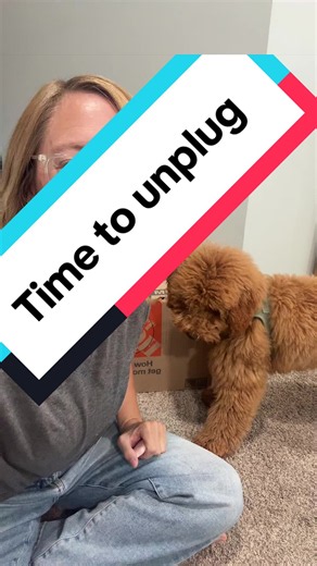 Unplug for the Weekend: Lands of Nostalgia Mystery Box