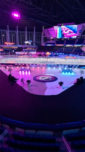 Gameday ready 🤩 #WinterClassic