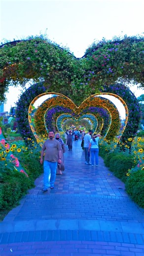 🏰 A magical flower garden that looks like a fairytale! 🌸😍 #Dubai #UAE #Flowers #explore #trending