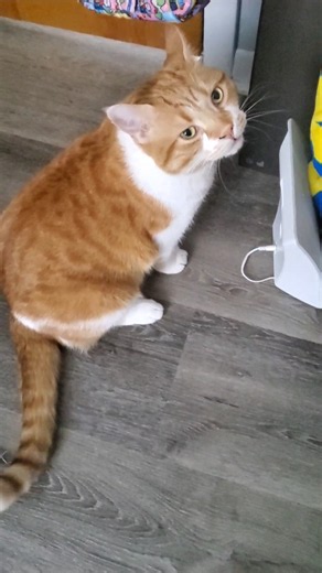 Cute visitor
