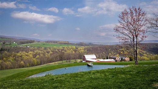 Spring into April with baseball, blooms, festivals and more | List of events