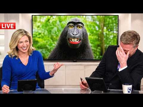 Live News Bloopers That Had the Whole Studio Laughing