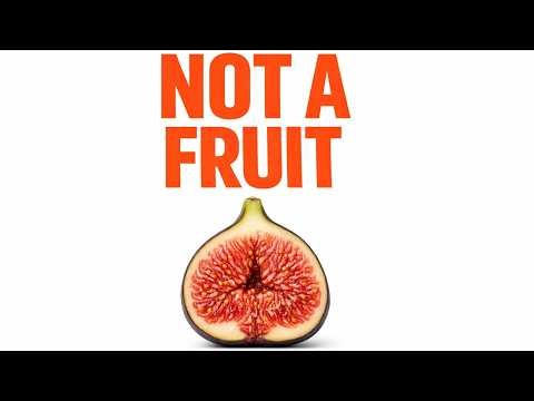 EVERY FIG HIDES A SECRET