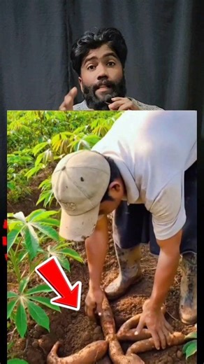 Qudrat Ka Karishma 😱... ☝🤯😱 #fblifestyle Jammu and Kashmir’s armless archer and Paralympics medallist Sheetal Devi edged out quadruple amputee Payal Nag of Odisha to win the gold in a much-anticipated clash of the Khelo India Para Games on Sunday. In the battle between two teenagers, defending champion Sheetal came from behind to successfully bag her second gold medal of the Games at the Jawaharlal Nehru Stadium. Pitted against the 17-year-old Payal, Sheetal, 18, triumphed 109-103 in their co