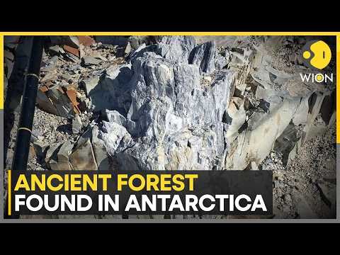 Antarctica Was Once A Lush Forest? New Evidence Reveals 90-Million-Year-Old Ecosystem