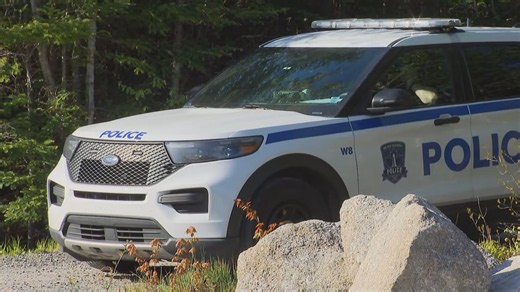 Mother of newborn found dead in woods dies in hospital: Halifax police