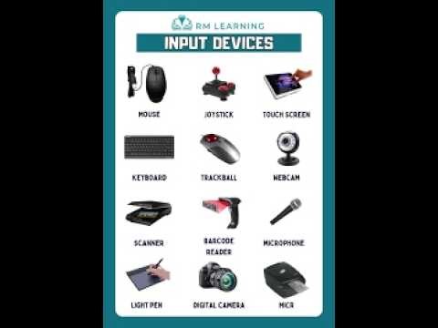 CAT Grade 10: Input Devices Explained (Types & Examples) Input Devices Lesson | Grade 10 CAT