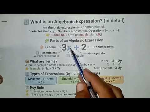 What is an algebraic expression? In detail 