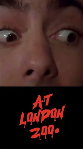 An American Werewolf in London is a 1981