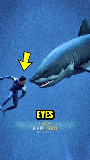 🦈Don't Splash If A Shark Swims Toward You!😳