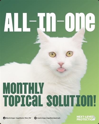 NexGard Spectra on Instagram: "Give your cat complete protection with Combo! 🐾 This easy, all-in-one monthly topical shields your feline friend from fleas, ticks, ear mites, heartworm, and even tapeworms. It’s the broadest next level protection available, designed to keep your cat healthy from the inside out without the stress of pills. Just one spot-on application and they're ready for more naps and play! 🛡️✨ #ComboForCats #NextLevelProtection #OneAndDone"