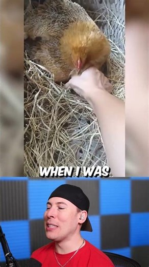 SMARTEST ANIMALS EVER EXISTED 🤣🤣