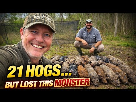 We Caught 21 Hogs, A 3 Legged Sow and Monster Hog Jumped Out. 