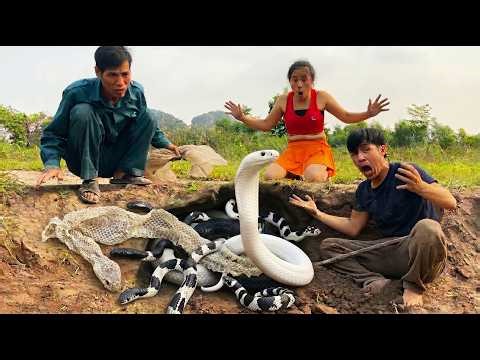 Brave Hunters Excavate Massive Snake Nest with Bare Hands