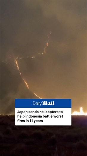Japan sends helicopters to fight Indonesia wildfires