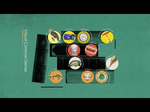 Why AI Videos Look So Real Now — And How Wan Makes It Controllable