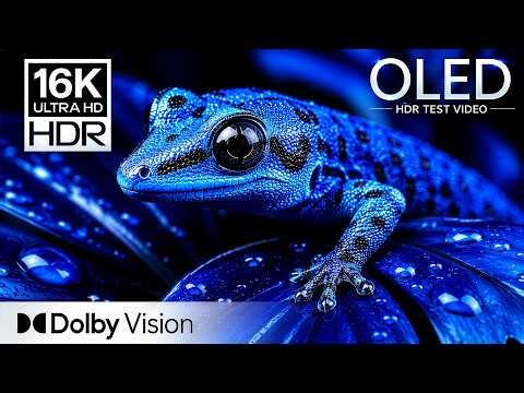 IMPOSSIBLE CLARITY HDR Colors | 16K Dolby Vision ULTIMATE OLED Test (8K/4K Video TV)