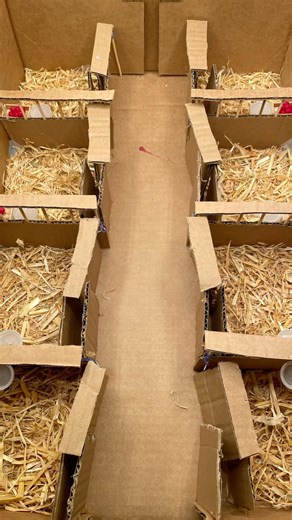 Schleich horse cardboard homemade barn #schleich #schleichhorse #schleichhorses #viral #viralshort