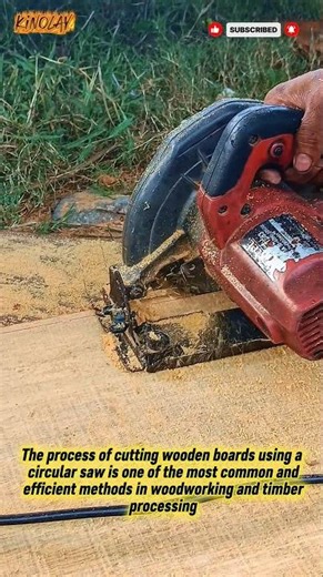 Wooden Board Cutting Process Using a Circular Saw #innovation #shorts #circular