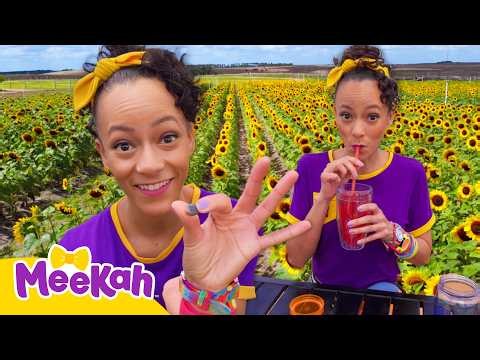 Berry Farm Adventure! 🍓 Making Homemade Berry Lemonade! 🍋