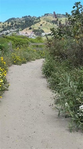 Pacifica, California 2026