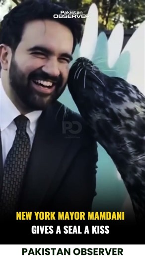 New York Mayor Mamdani Shares a Kiss with a Seal | Pakistan Observer