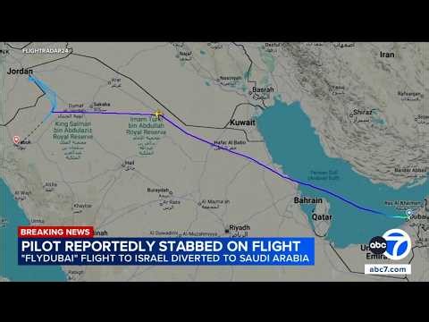 Pilot reportedly stabbed in cockpit, flight to Tel Aviv diverted