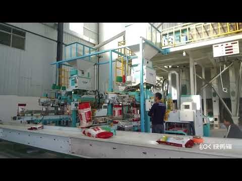 Ewinall One-Stop Packaging Workstation | Fully Automated Packaging System and Load onto the Vehicle