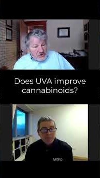 Does UVA improve cannabinoids?