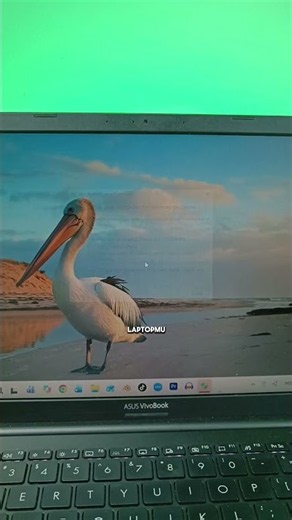 SUPER IMPORTANT! Here's how to fix a black screen on your laptop