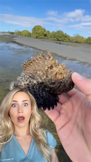 Why this is EXTREMELY venomous!